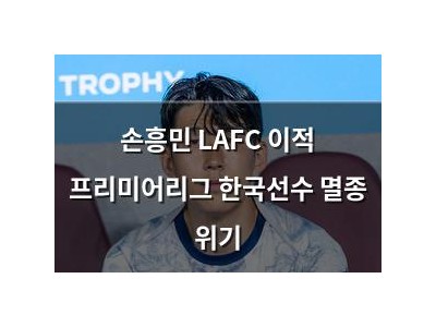 손흥민 LAFC 이적 프리미어리그 한국선수 멸종 위기