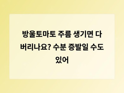 방울토마토 주름은 부패가 아니라 수분 증발일 수 있다